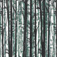Woodsy Forest Green